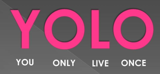 욜로(YOLO) 이미지