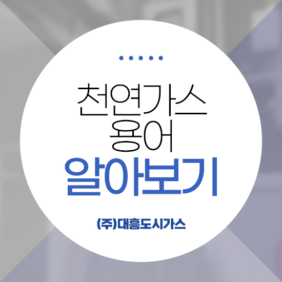 대흥엘피지 이미지