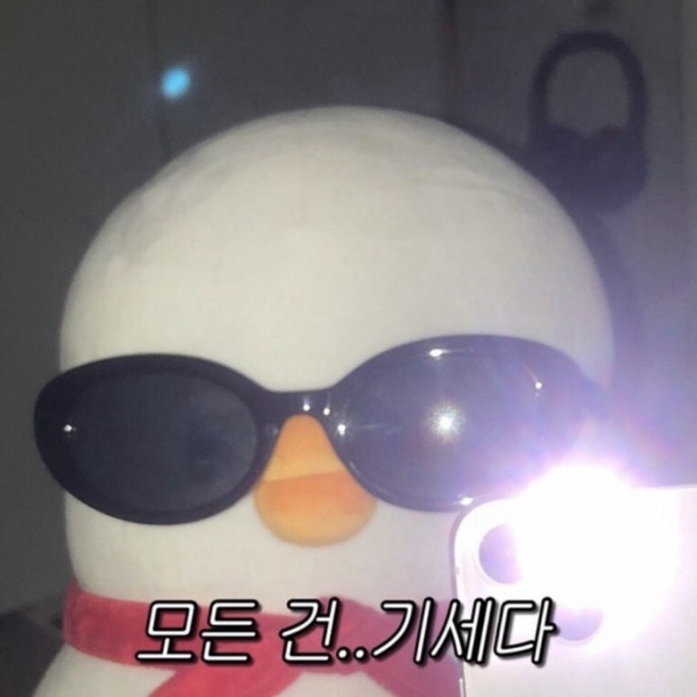 레츠고 이미지