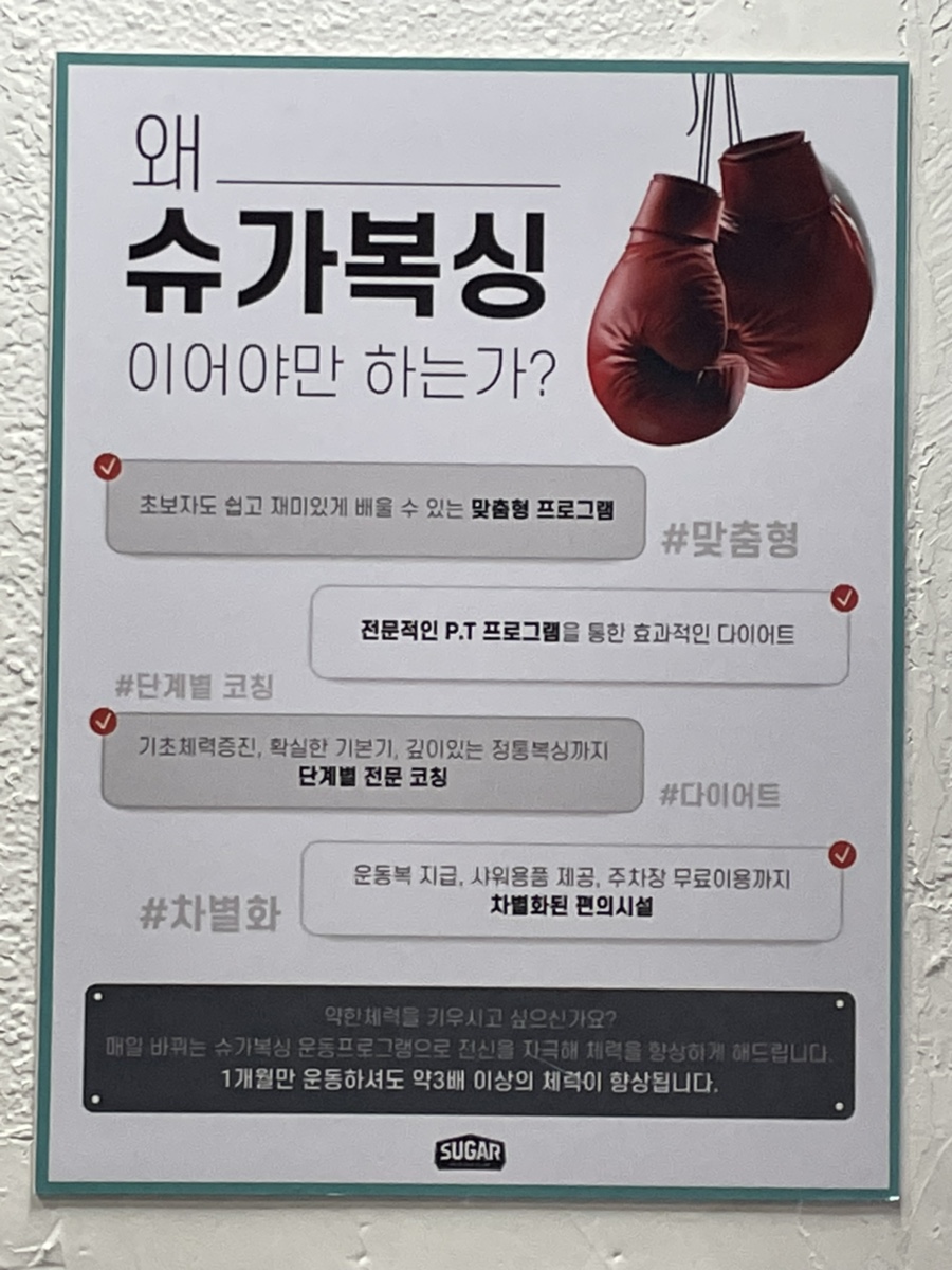 슈가복싱 이미지