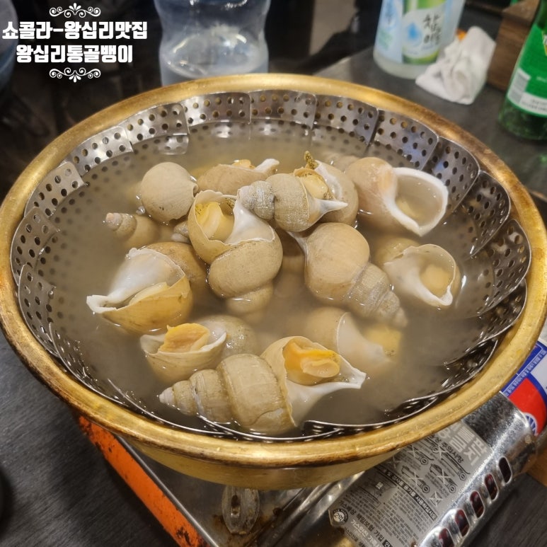 왕십리통골뱅이 이미지