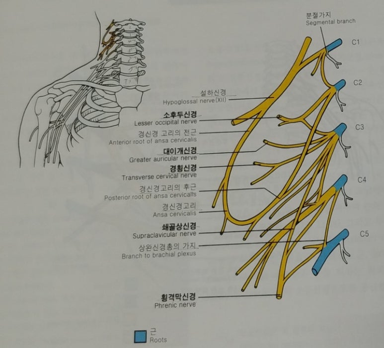 제이클라스피티 이미지
