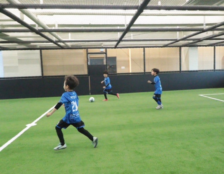 울산시티FC 유소년클럽 이미지