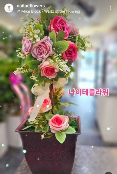 나이테플라워 이미지
