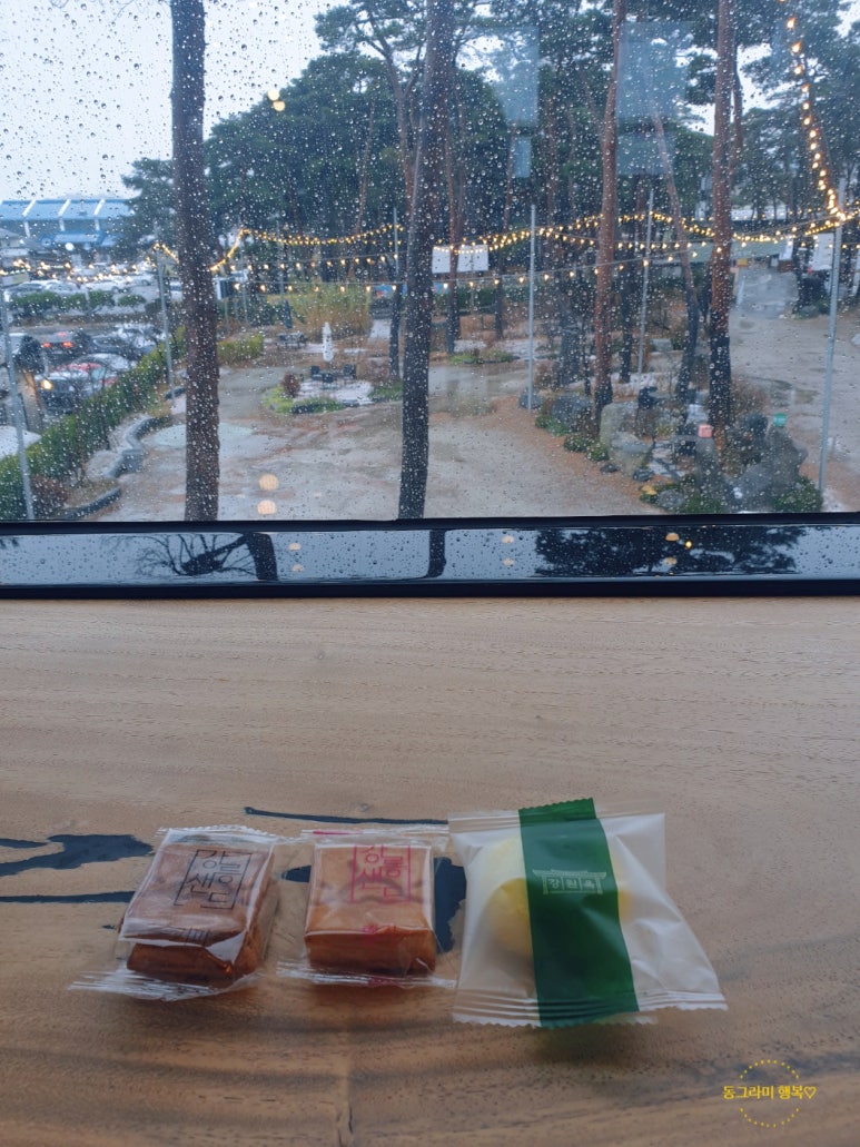 카페보스강릉 이미지