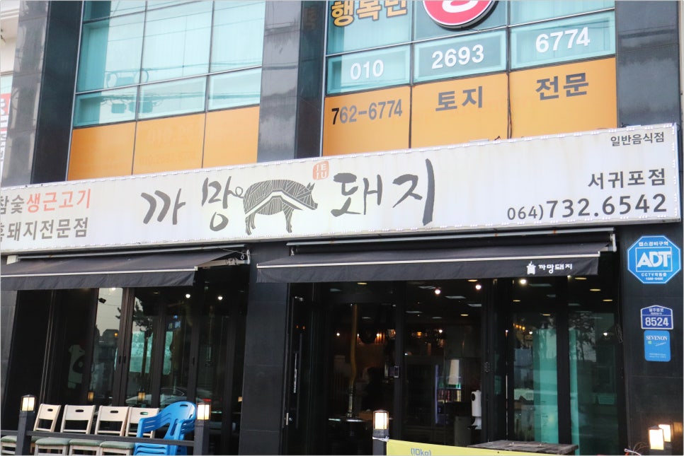 일등돼지 이미지