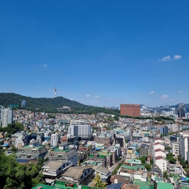 남산명당 이미지