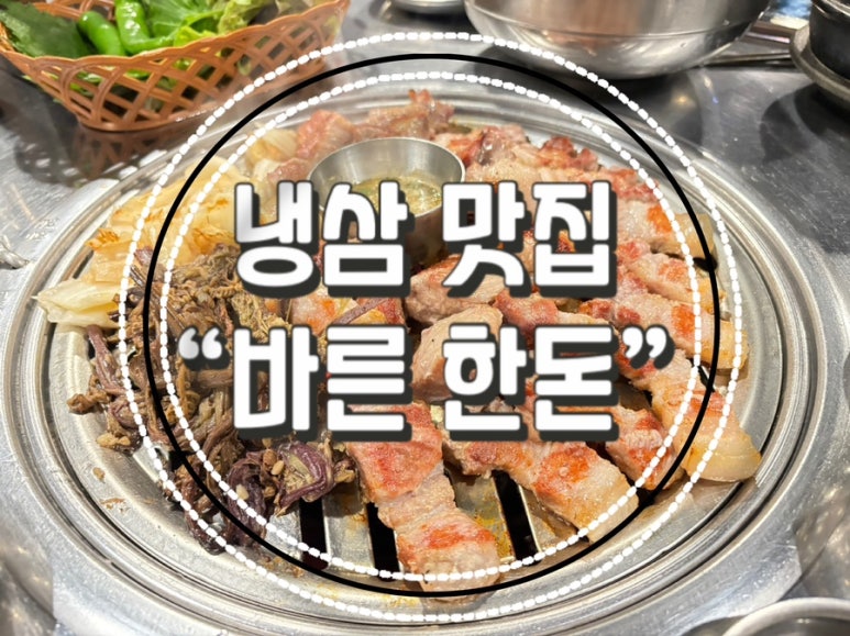 바른한돈 이미지