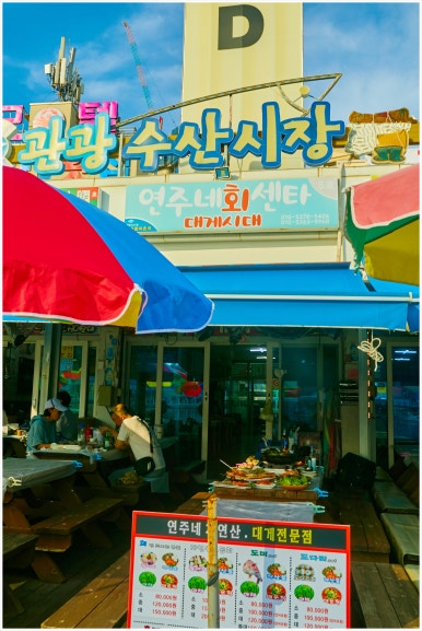 연주네 이미지