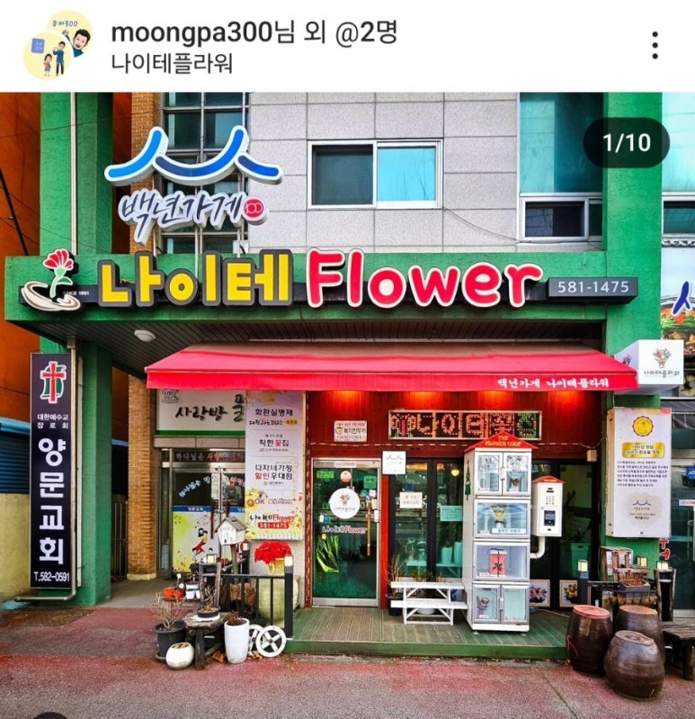 나이테플라워 이미지