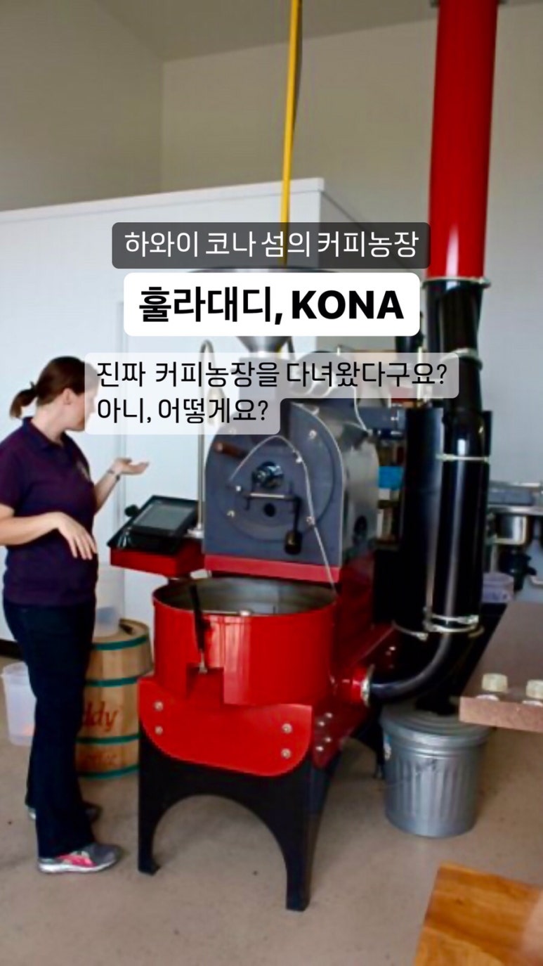 핸섬살롱 이미지