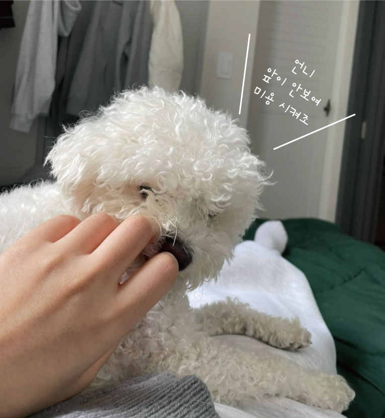 라라몽 이미지