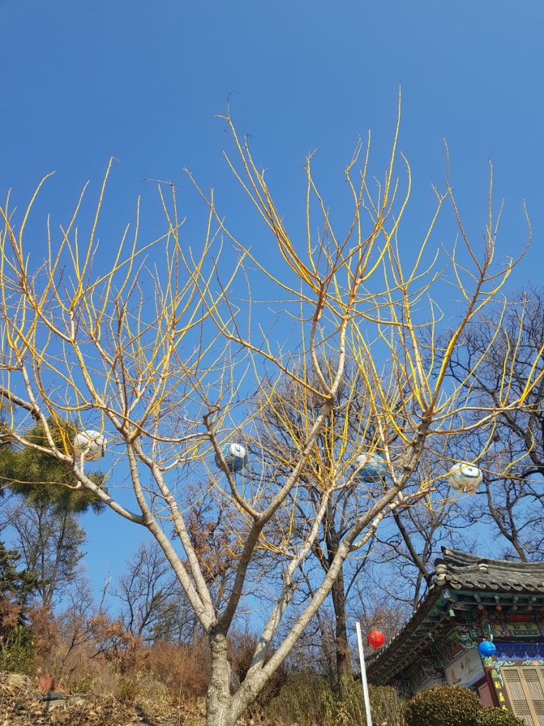 미림사 이미지