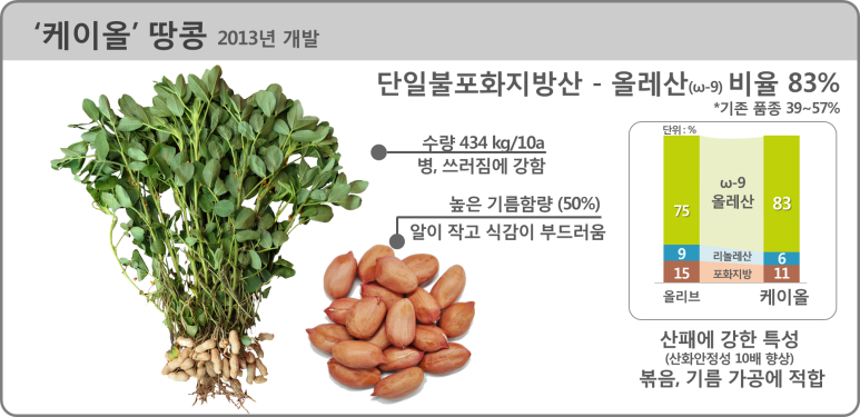비밀화장품 이미지