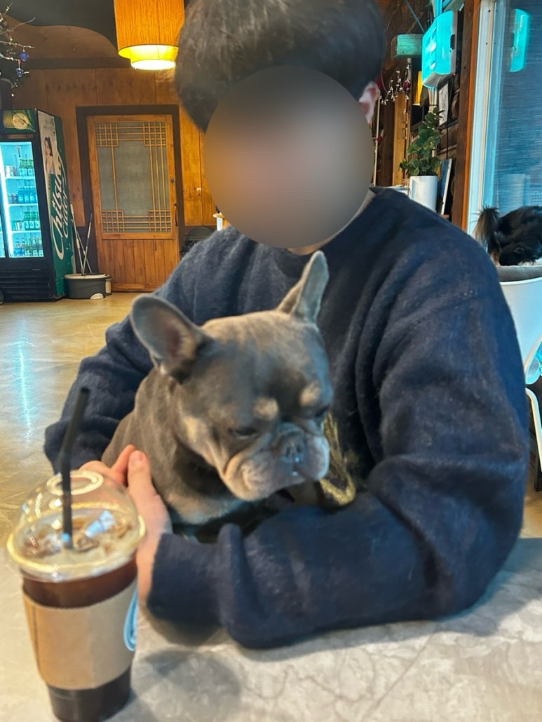 환이조아 이미지