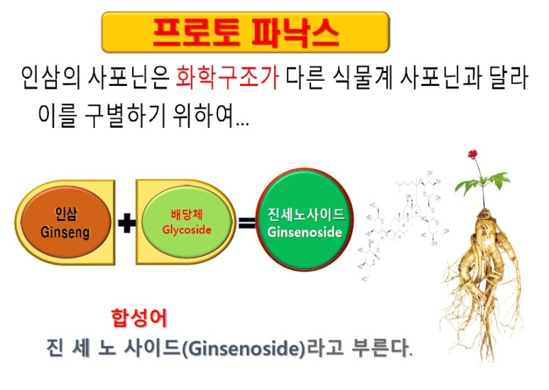 (주)본초바이오 이미지