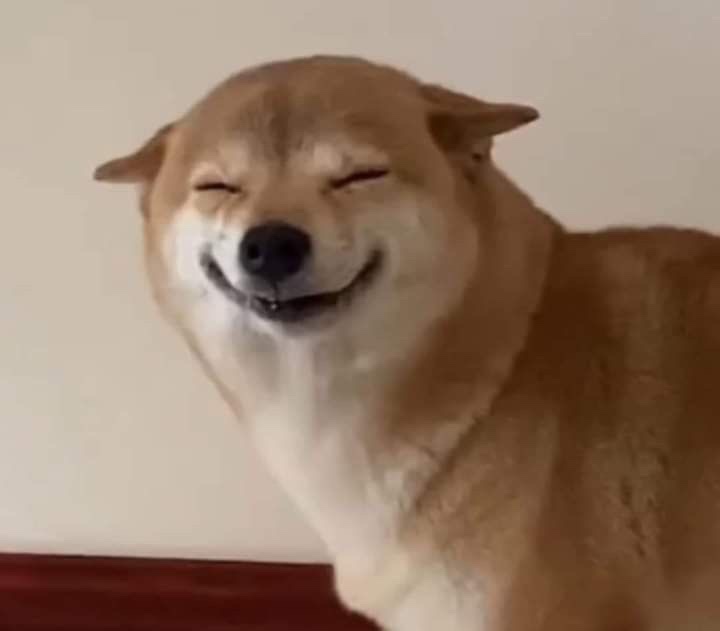 녹색광선 이미지