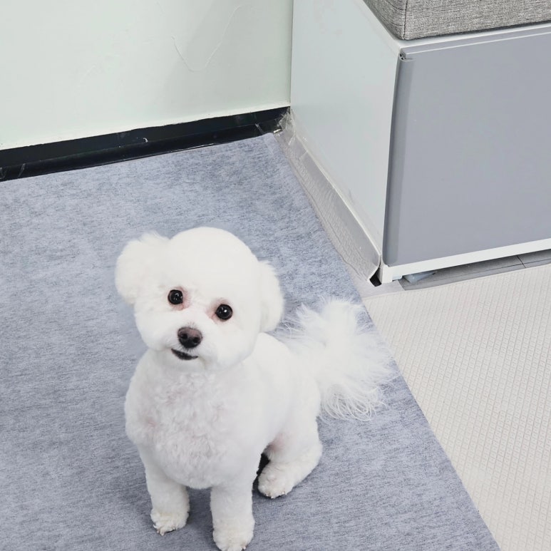예삐미용실 이미지
