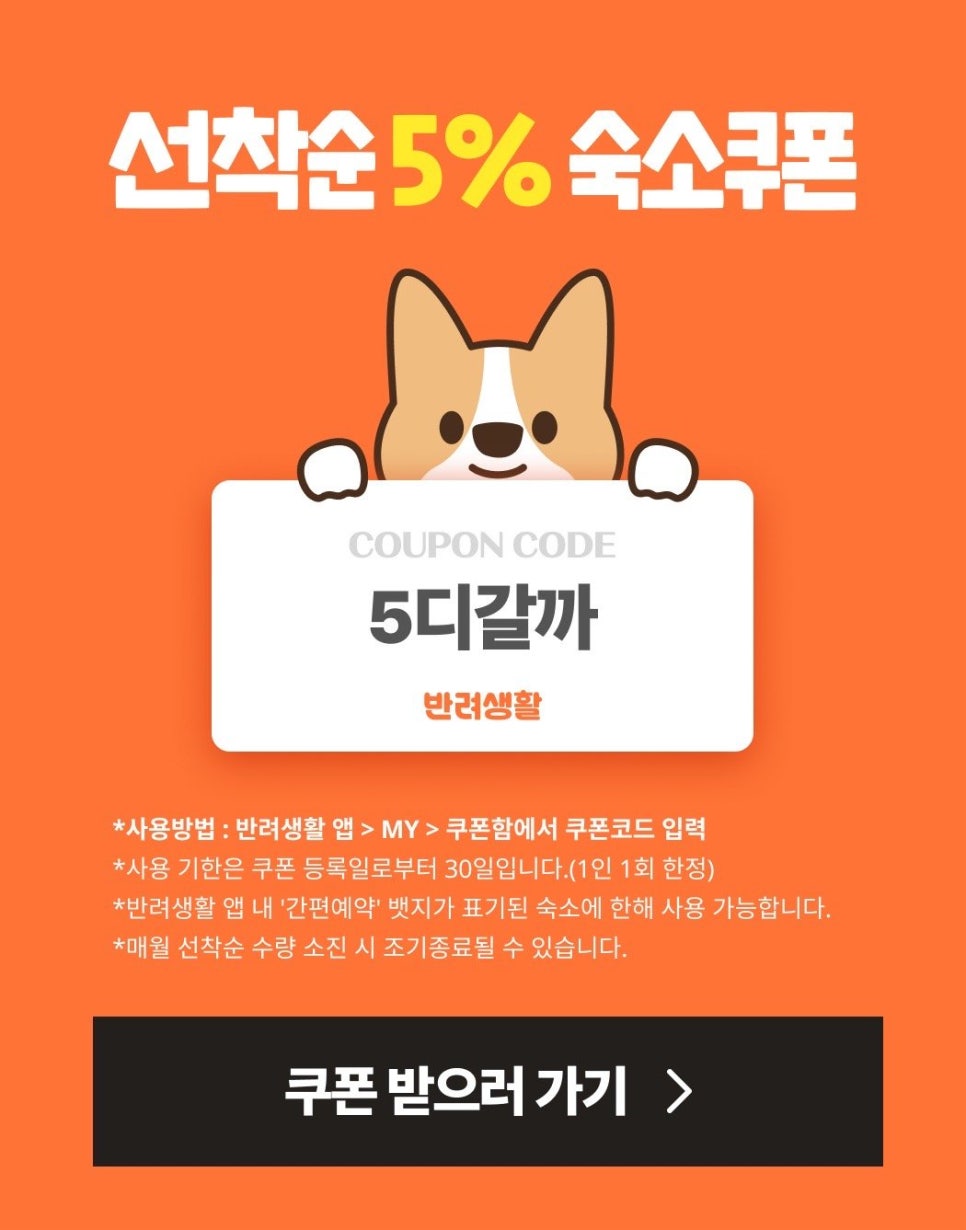 경주미담한옥풀빌라 이미지
