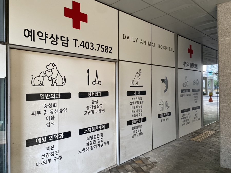 송파 고양이 건강검진 비용과 검진 항목 안내 — 사진 4