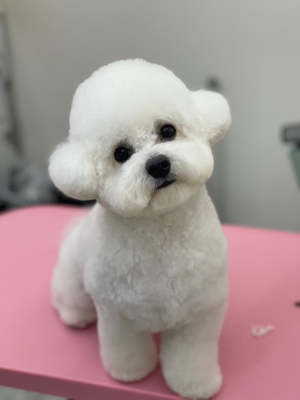정관달 이미지