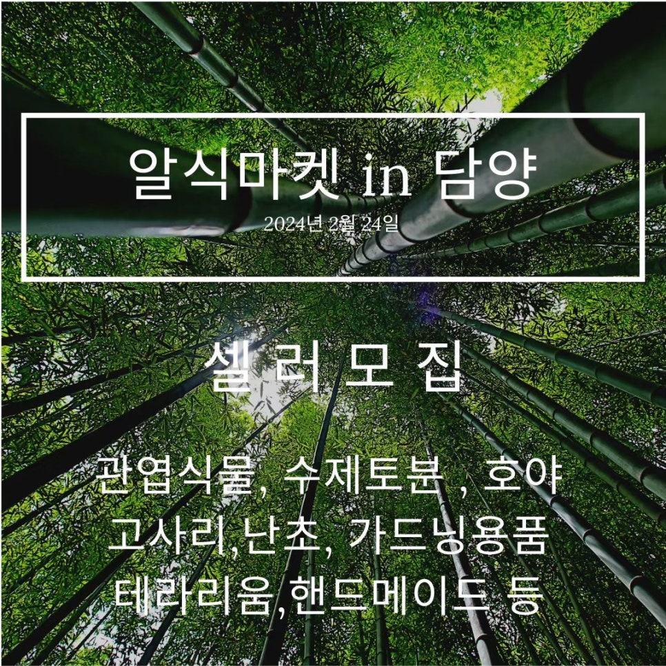 식집사마켓 이미지