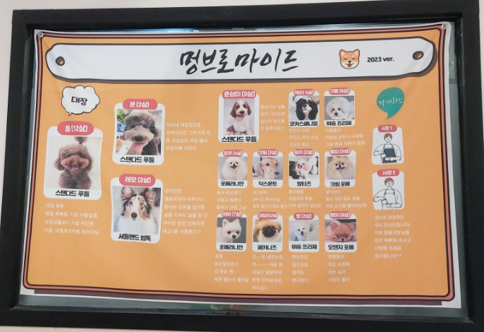 멍브로 이미지