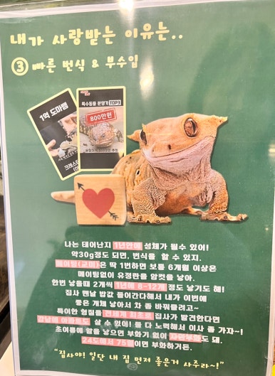 크레도니아 팔달구청점 이미지