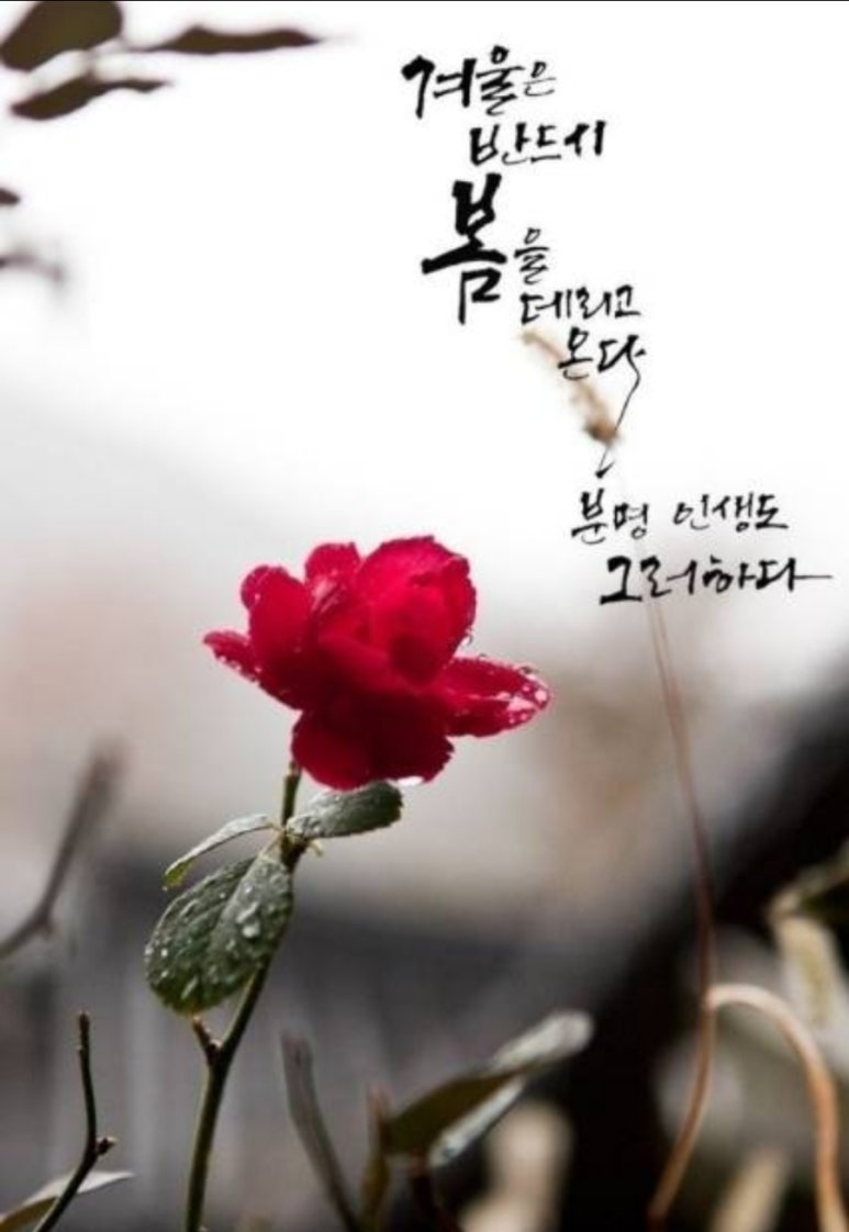 행복법무사 이미지