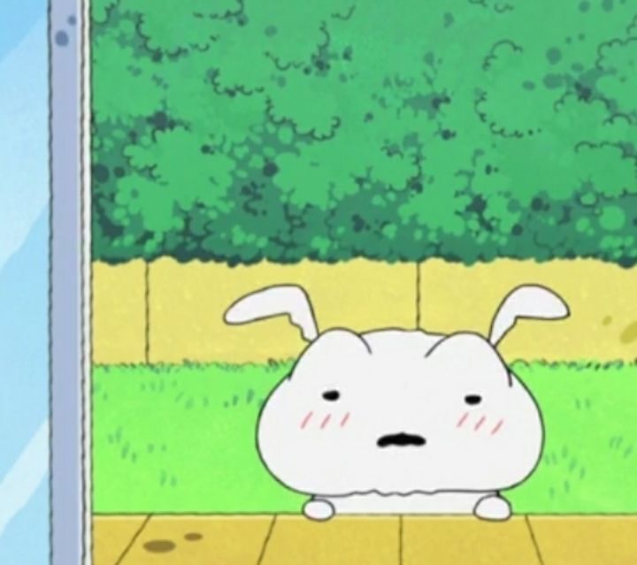 (주)피자스쿨 이미지