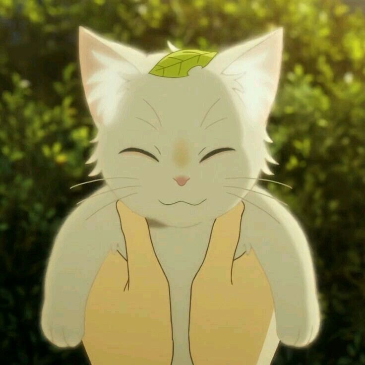 풀향 이미지