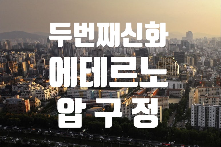 와이제이 홀딩스 이미지