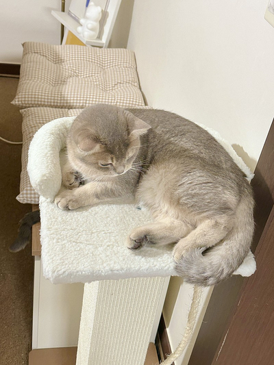 (주)파우제 이미지