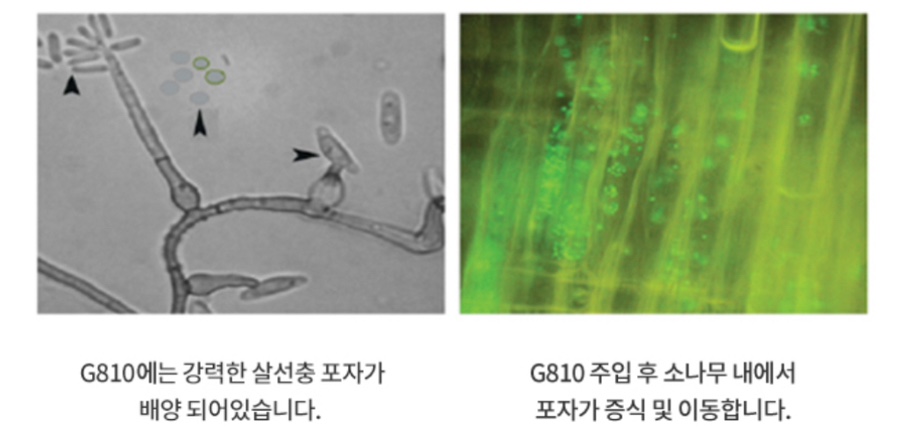 대덕환경기술산업 이미지