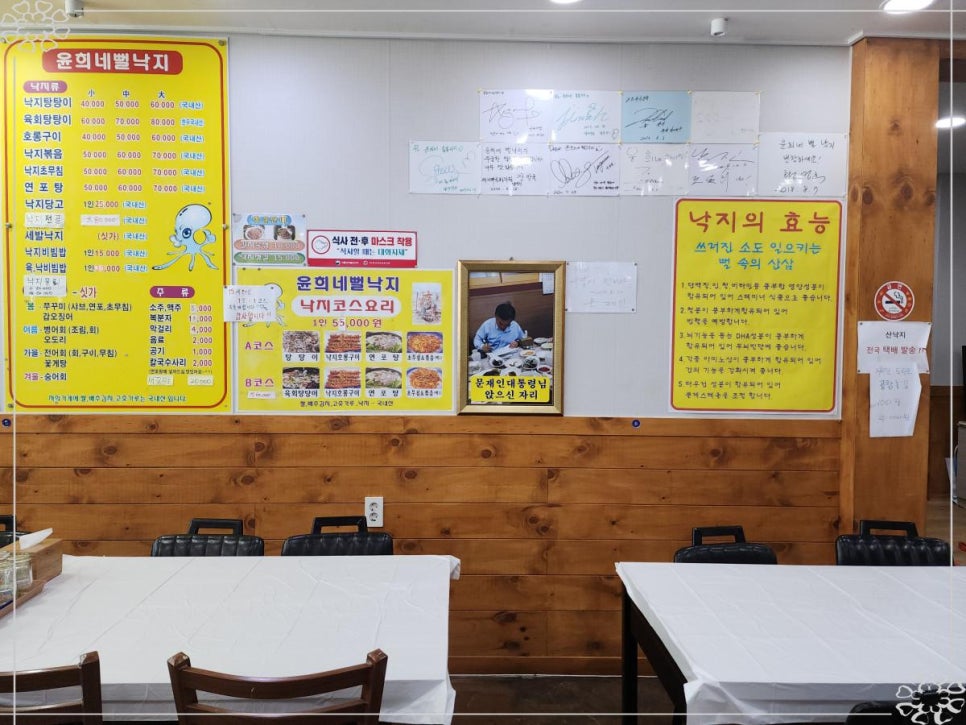 낙지대통령 이미지