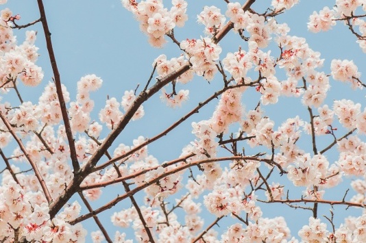 까치산내과 이미지