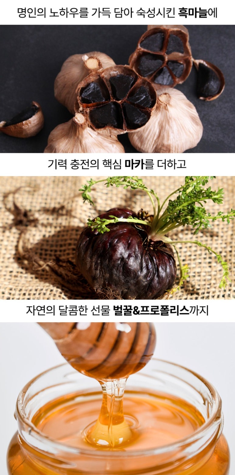 우리몸애 이미지