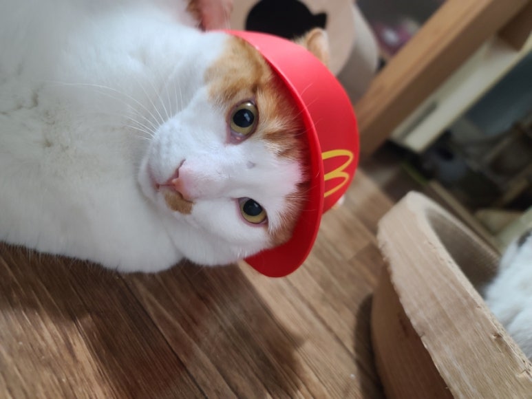 못거리가든 이미지
