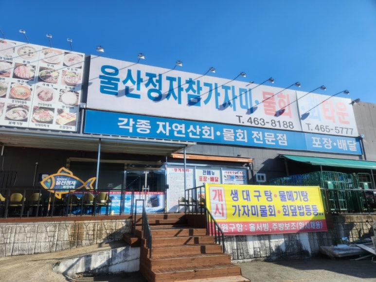 울산정자참가자미회타운 이미지