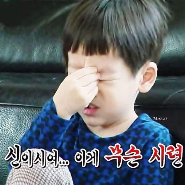 쌈닭 이미지