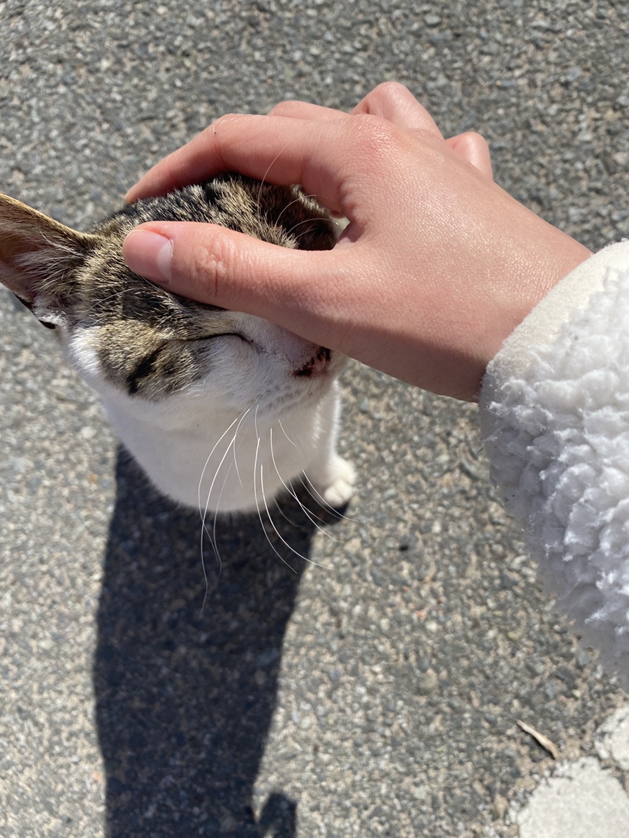영해 식자재마트 이미지