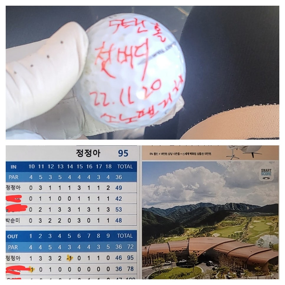 룰루버디 이미지
