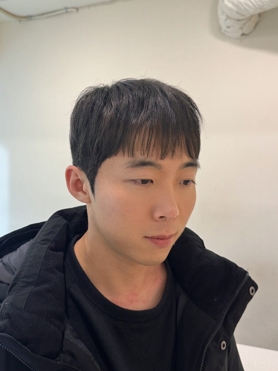 헤어위그 이미지