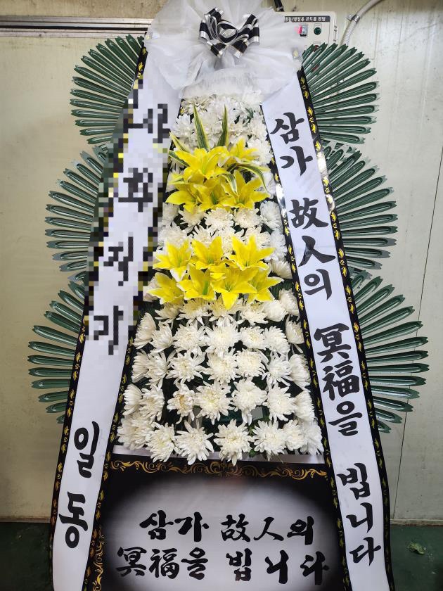 스윗시그널 이미지