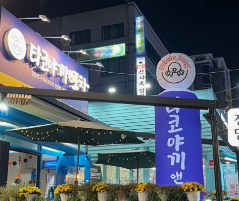 정타코 이미지