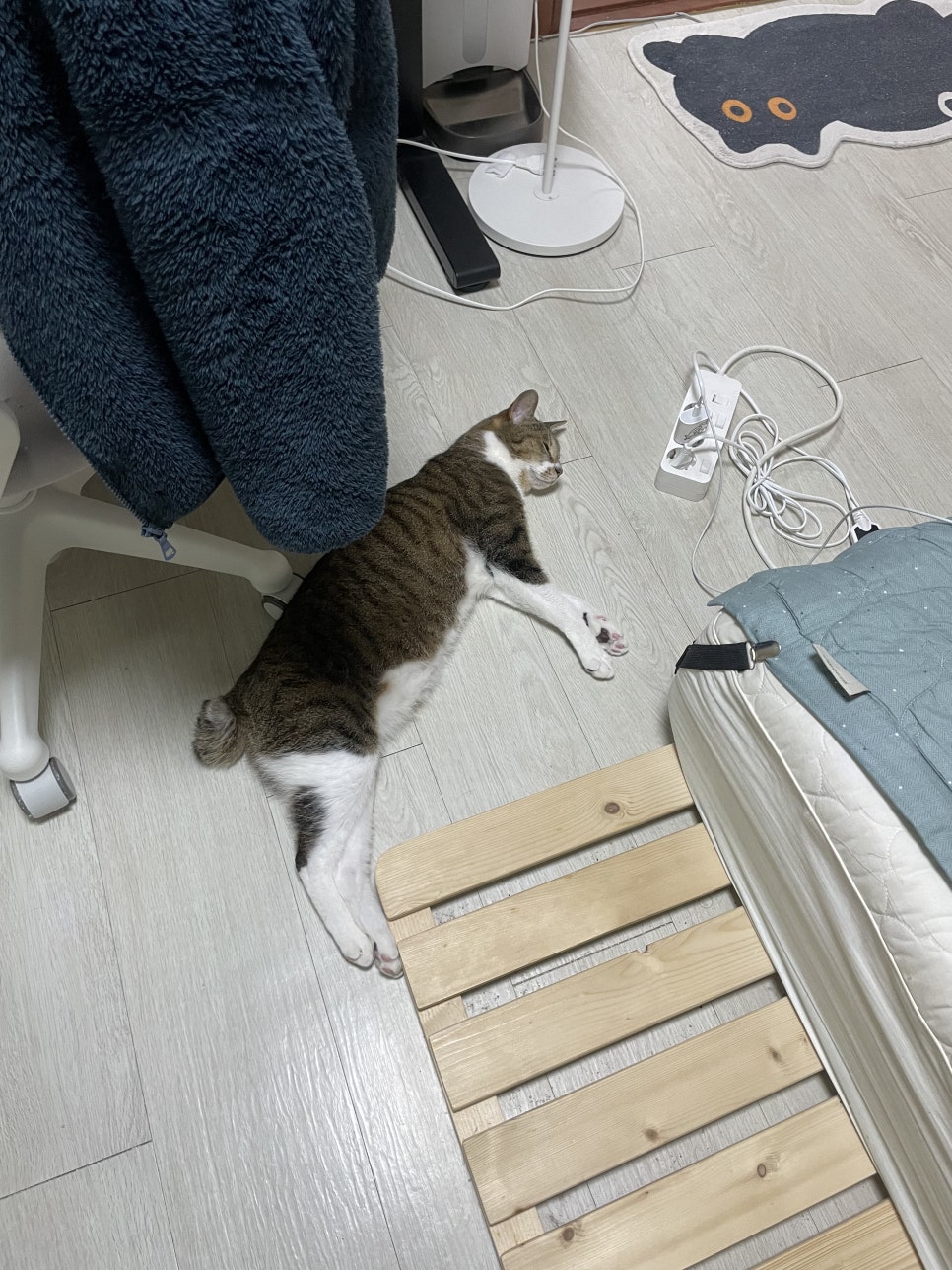 사장님돈까스 이미지