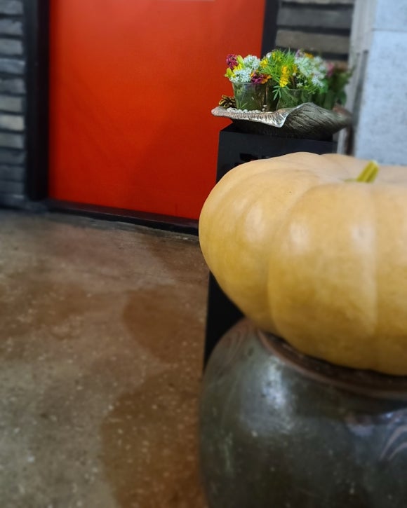 차한잔의자유 이미지