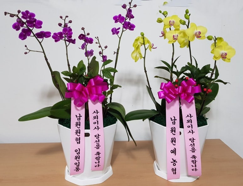 남원원예농업협동조합 이미지