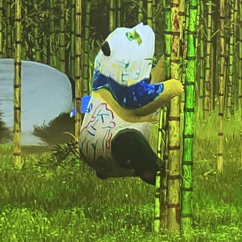 젠바오 이미지