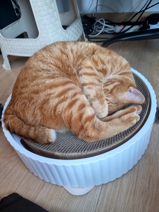 아이눈부셔 이미지